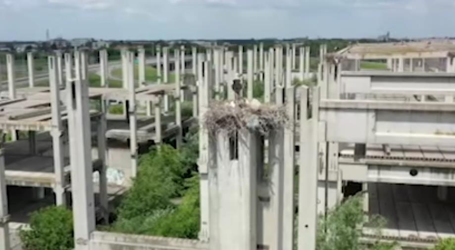 Screenshot 2025-08-06 163440.png