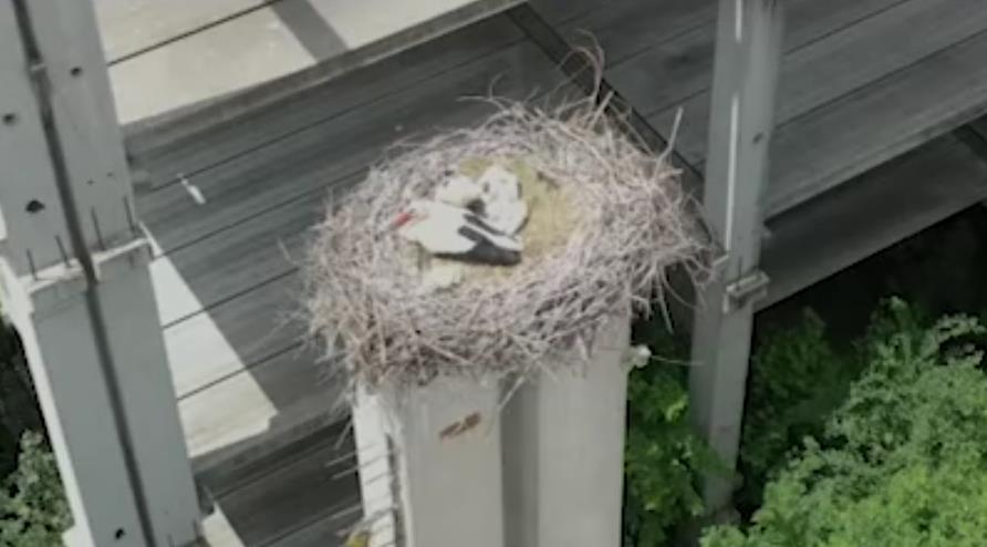 Screenshot 2025-08-06 163435.png