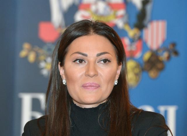 svetlana-ceca-raznatovic-skupstina-grada-docek-tanjug.jpg
