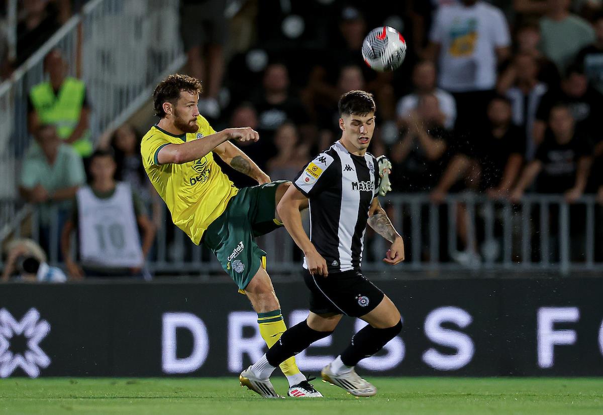 Detalj sa utakmice Partizan - Hibernijan