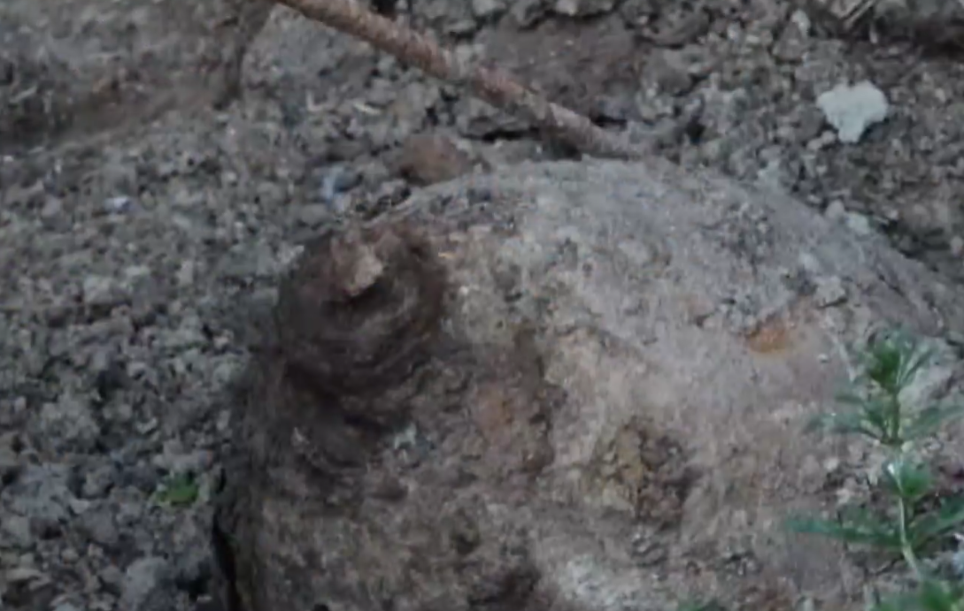 Screenshot 2025-08-09 073531.png