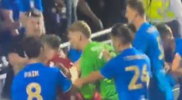 tuča igrač i navijač 3.jpg