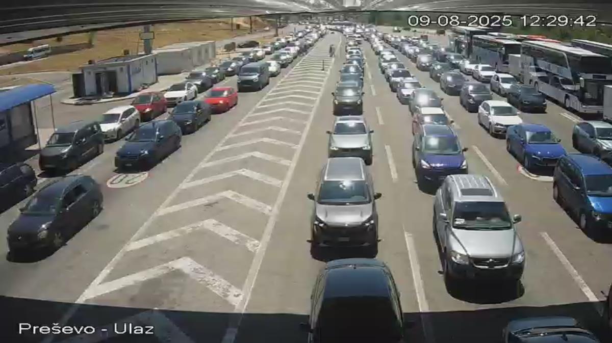 Screenshot 2025-08-09 123005.png