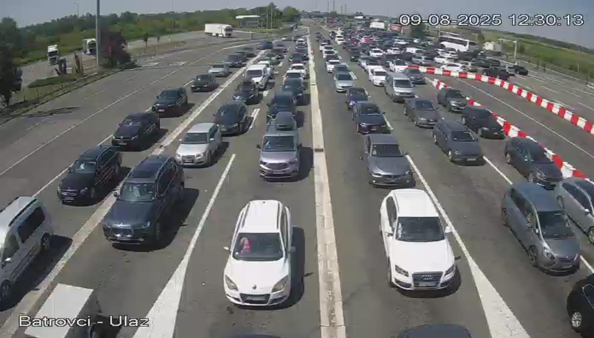 Screenshot 2025-08-09 123033.png