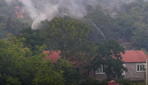 Screenshot 2025-08-12 075125.png