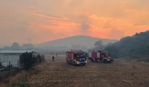 Screenshot 2025-08-12 075109.png