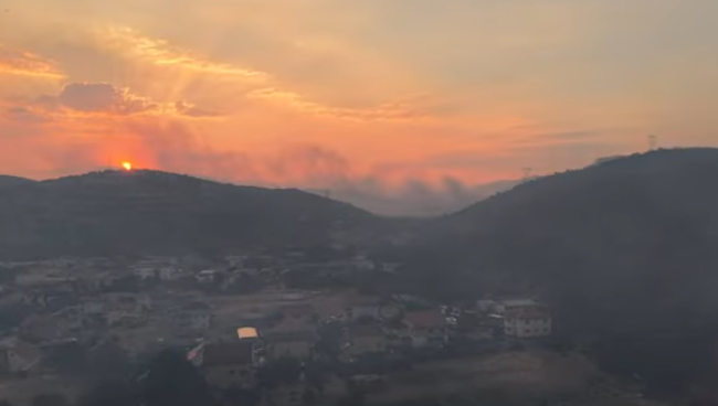 Screenshot 2025-08-12 075058.png