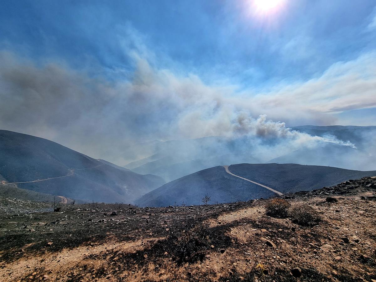 x03 Kostas Kourgias.jpg