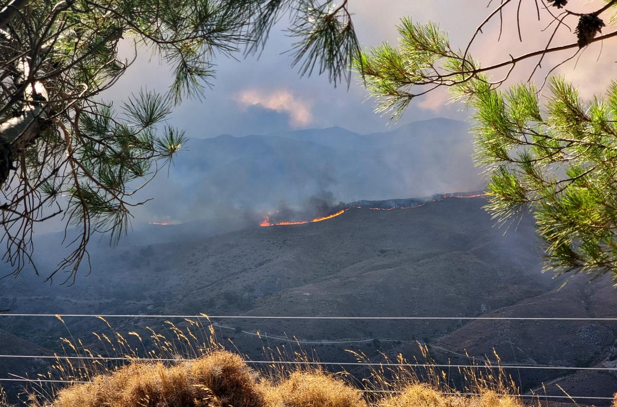 x01 Kostas Kourgias.jpg