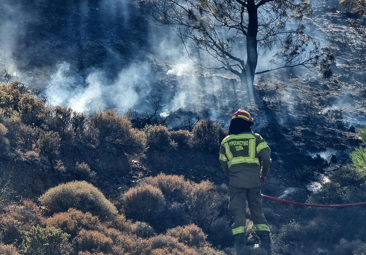 x04 Kostas Kourgias.jpg