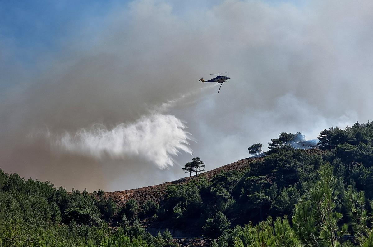 x07 Kostas Kourgias.jpg