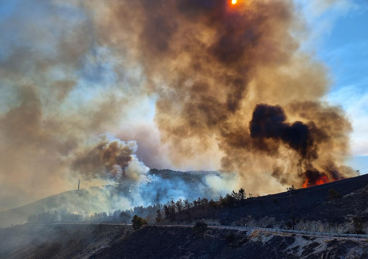 x11 Kostas Kourgias.jpg