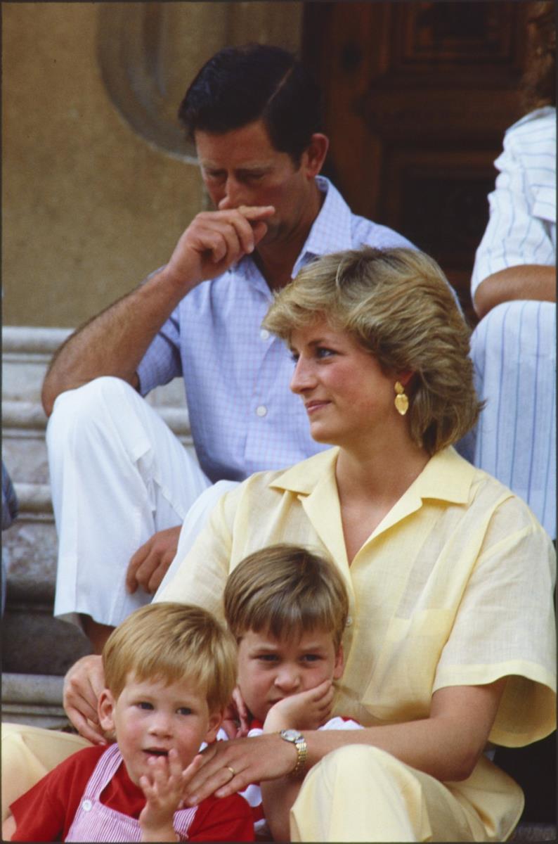 princeza Dajana, princ Hari, princ Vilijam