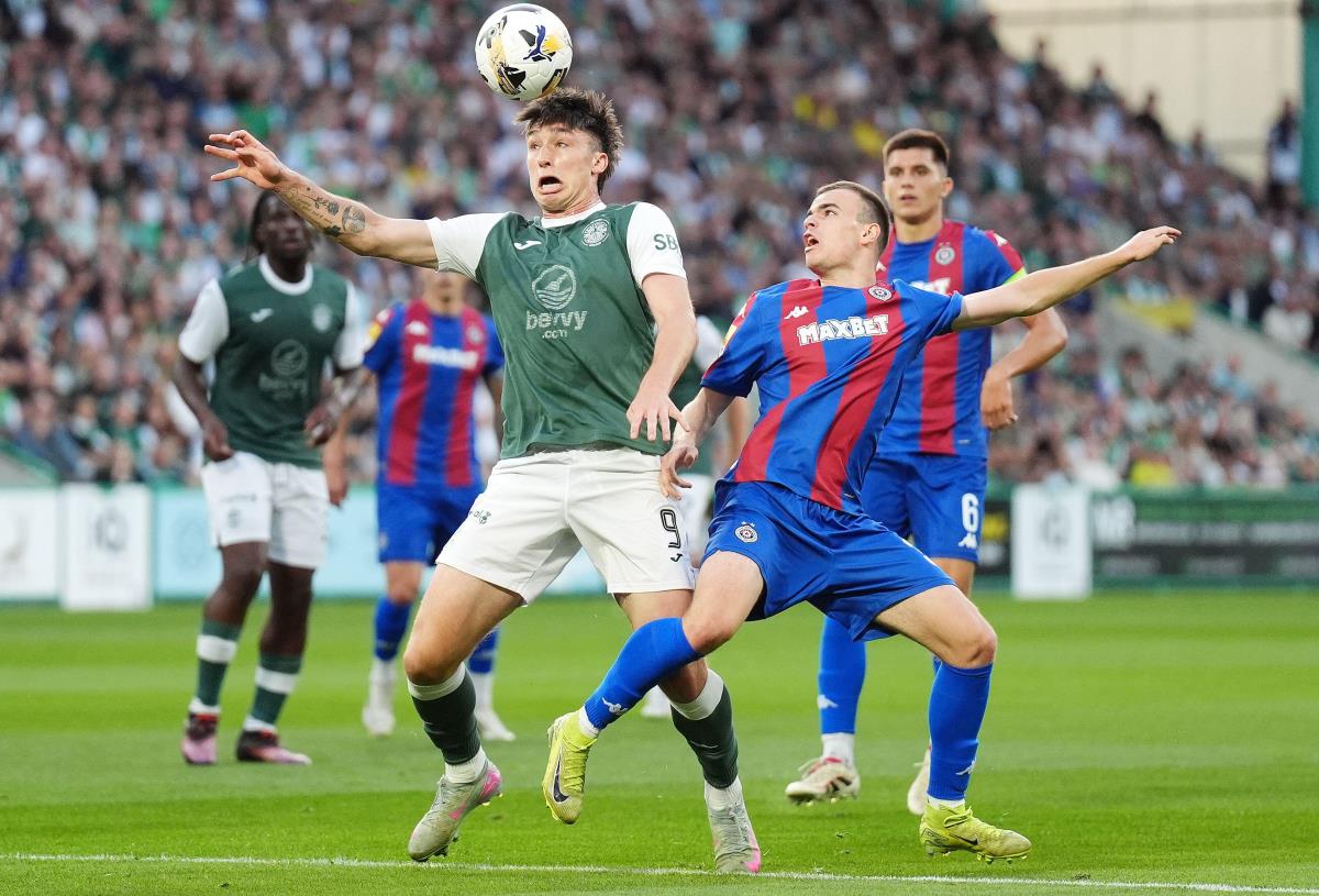 Partizan, Hibernijan