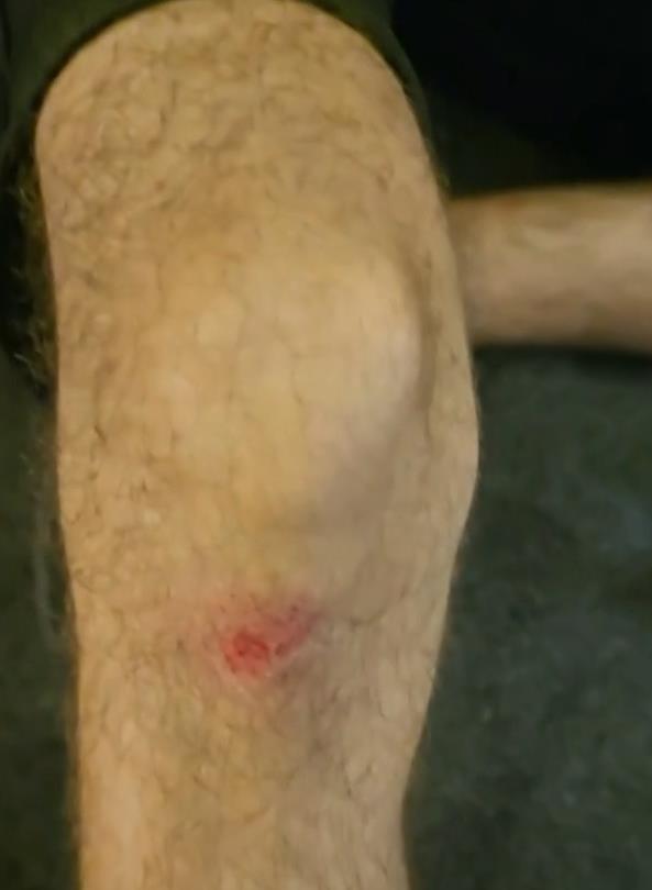 Screenshot 2025-08-15 225328.jpg