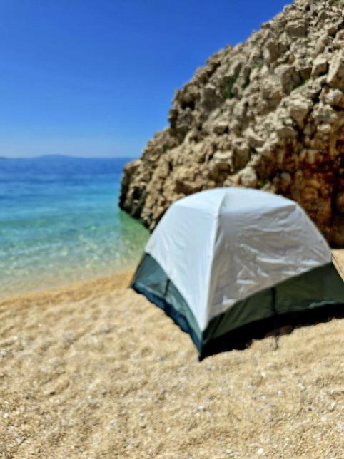 Danijela Martinović