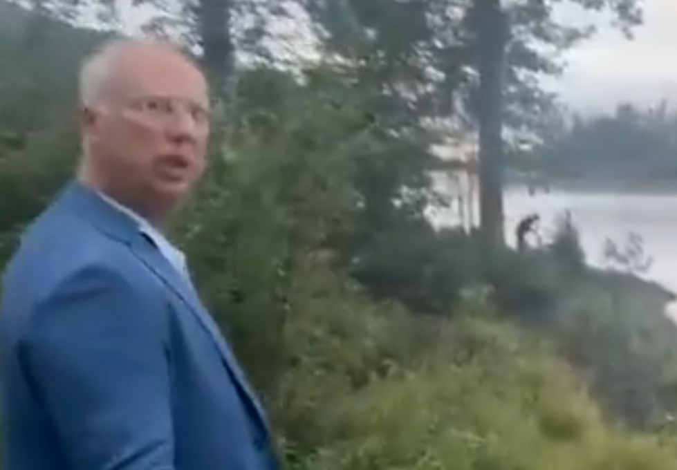 ril Dimitrijev medved