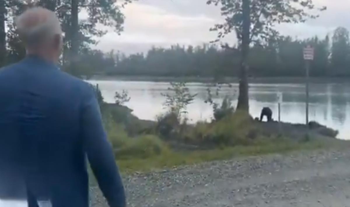 Screenshot 2025-08-17 090139.png