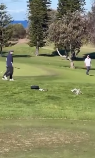 Screenshot 2025-08-17 103350.png