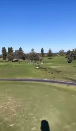 Screenshot 2025-08-17 103334.png