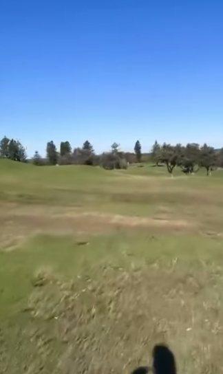 Screenshot 2025-08-17 103317.png