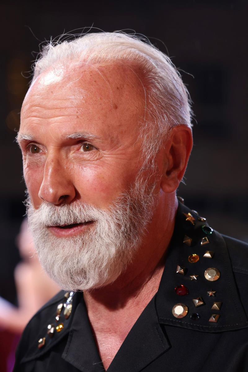 Dino Merlin na Sarajevo film festivalu