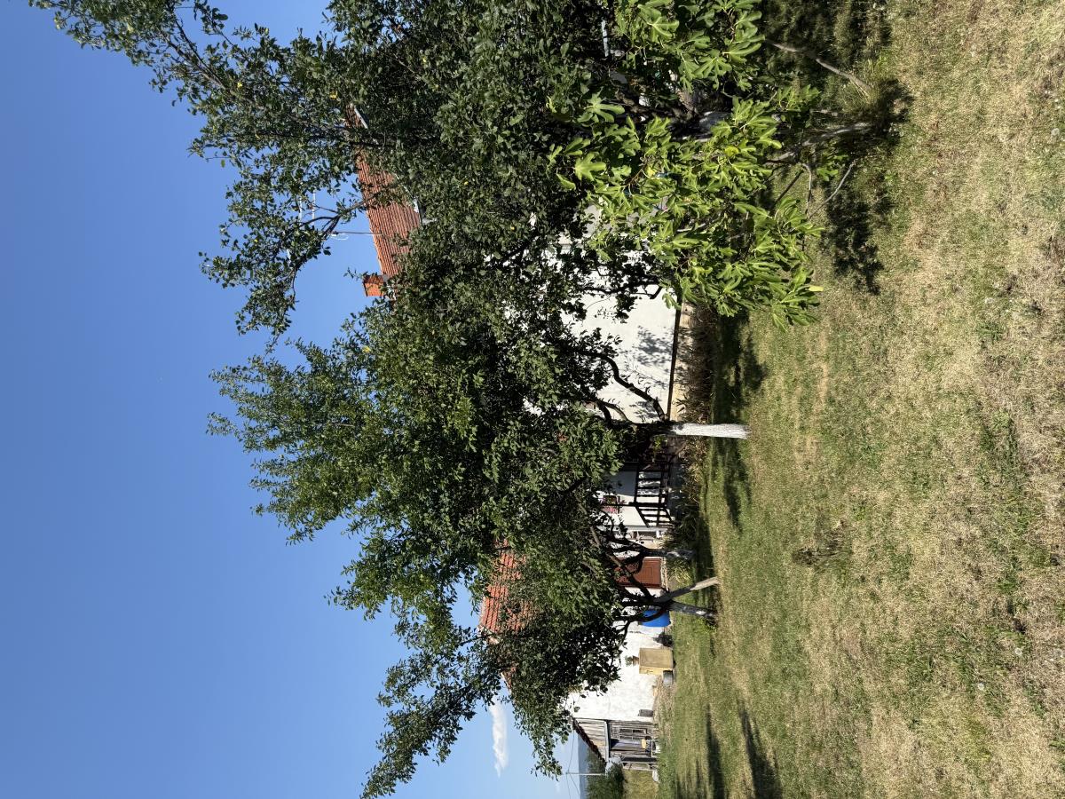 1601 radojka zivkovic privatna arhiva (3).jpeg