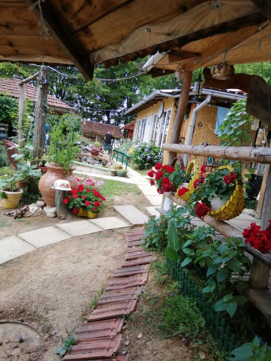 1. Najlepše dvorište - Ana-Obradovic 2.jpg