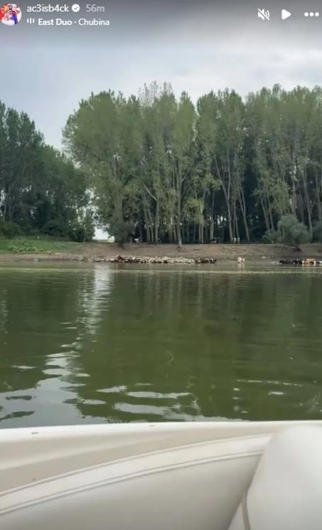 raznatovic veljko.png