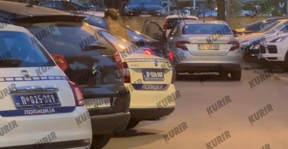 Ana Nikolić napušta policiju nakon što je prijavila Raleta