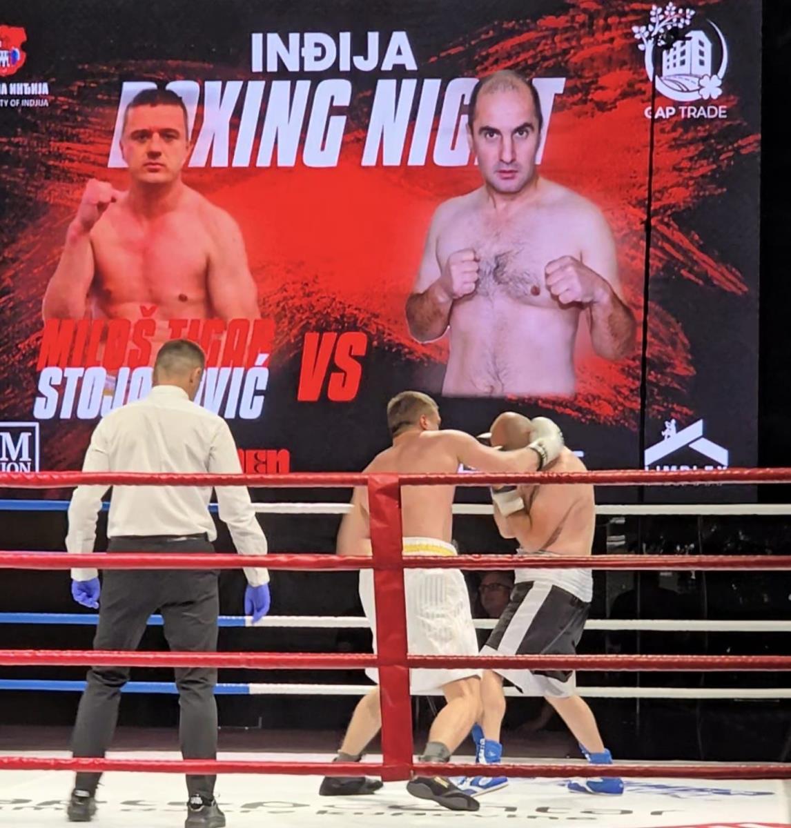 Borba Tigra i Audavashvilija