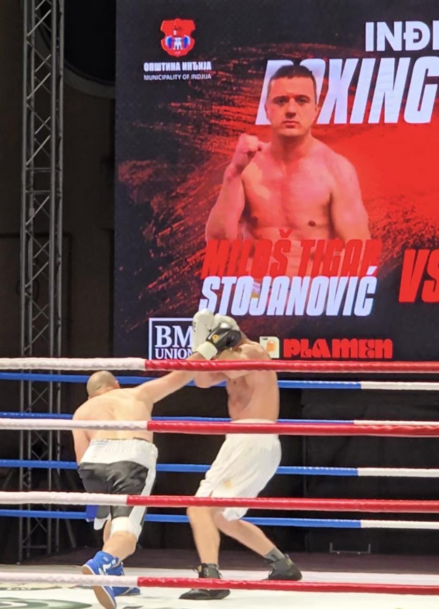 Miloš Stojanović Tigar