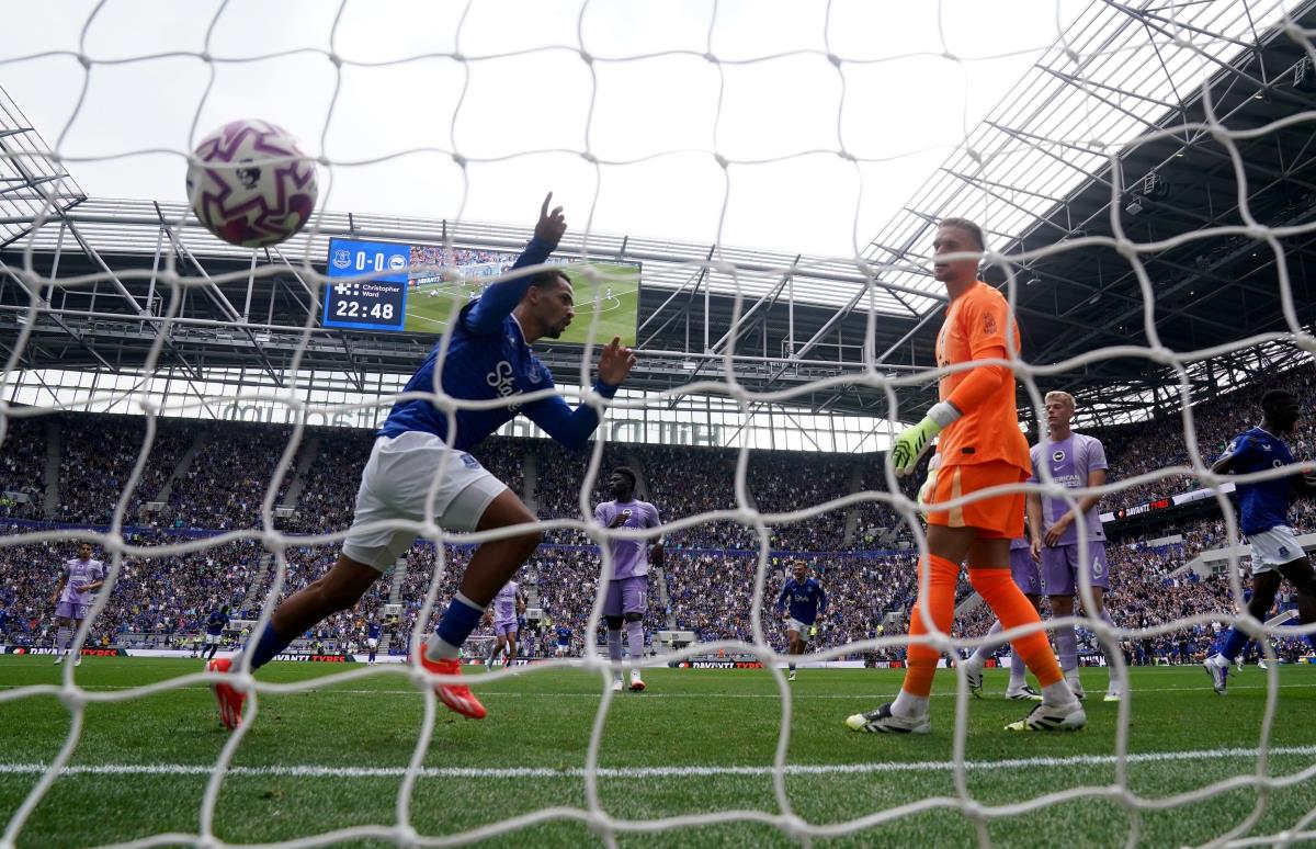 Premijer liga, Everton, Brajton