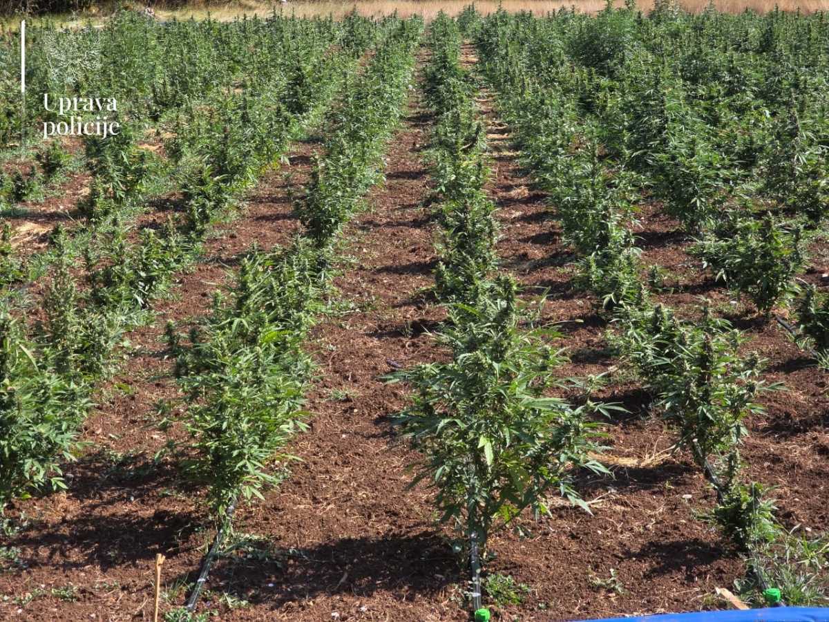 WhatsApp slika 2025-08-24 u 17.40.05_268514ca.jpg