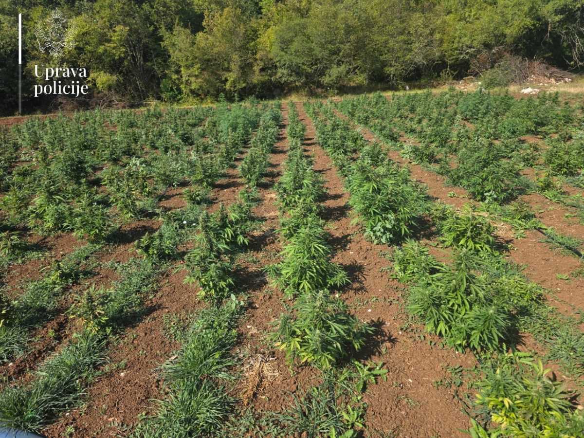 WhatsApp slika 2025-08-24 u 17.38.39_3585a171.jpg