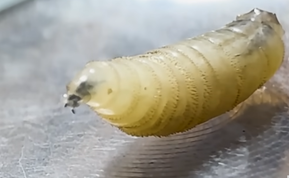 Screenshot 2025-08-25 071729.png