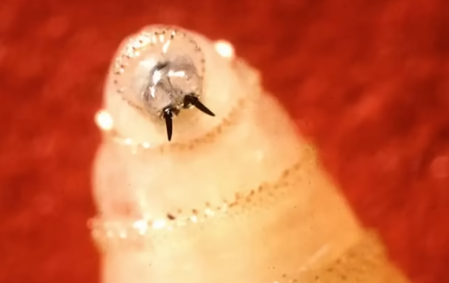 Screenshot 2025-08-25 072200.png