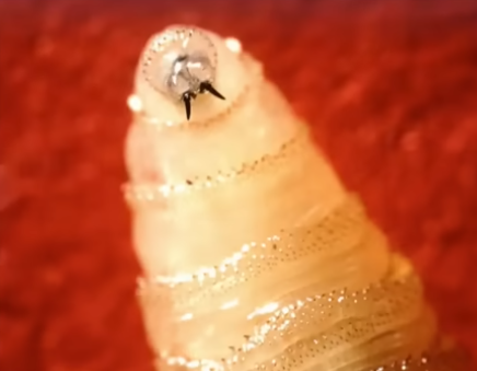 Screenshot 2025-08-25 072242.png