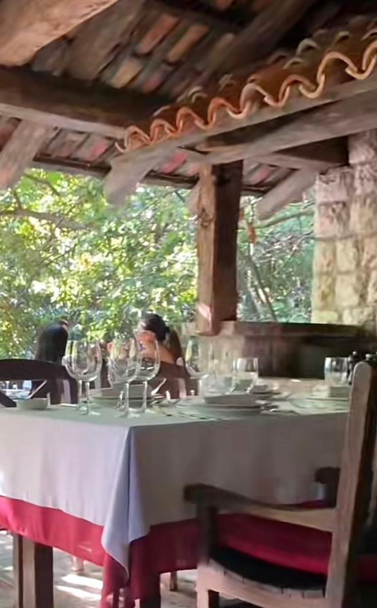 Svetlana Ceca Ražnatović (4).jpeg