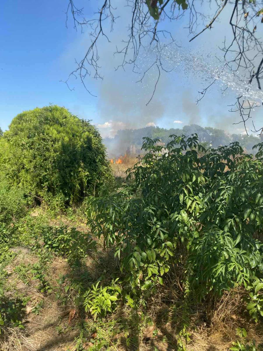 WhatsApp Image 2025-08-25 at 19.39.18_c09a1a43.jpg