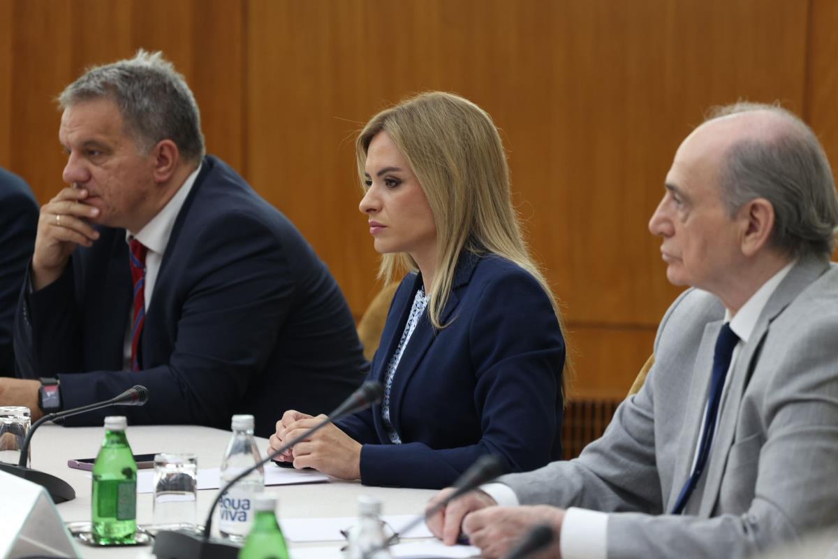 Svečana Sednica Vlade republike Srbije (35).jpeg