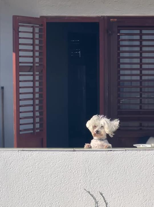 Marija Vicković uživa na moru u Crnoj Gori