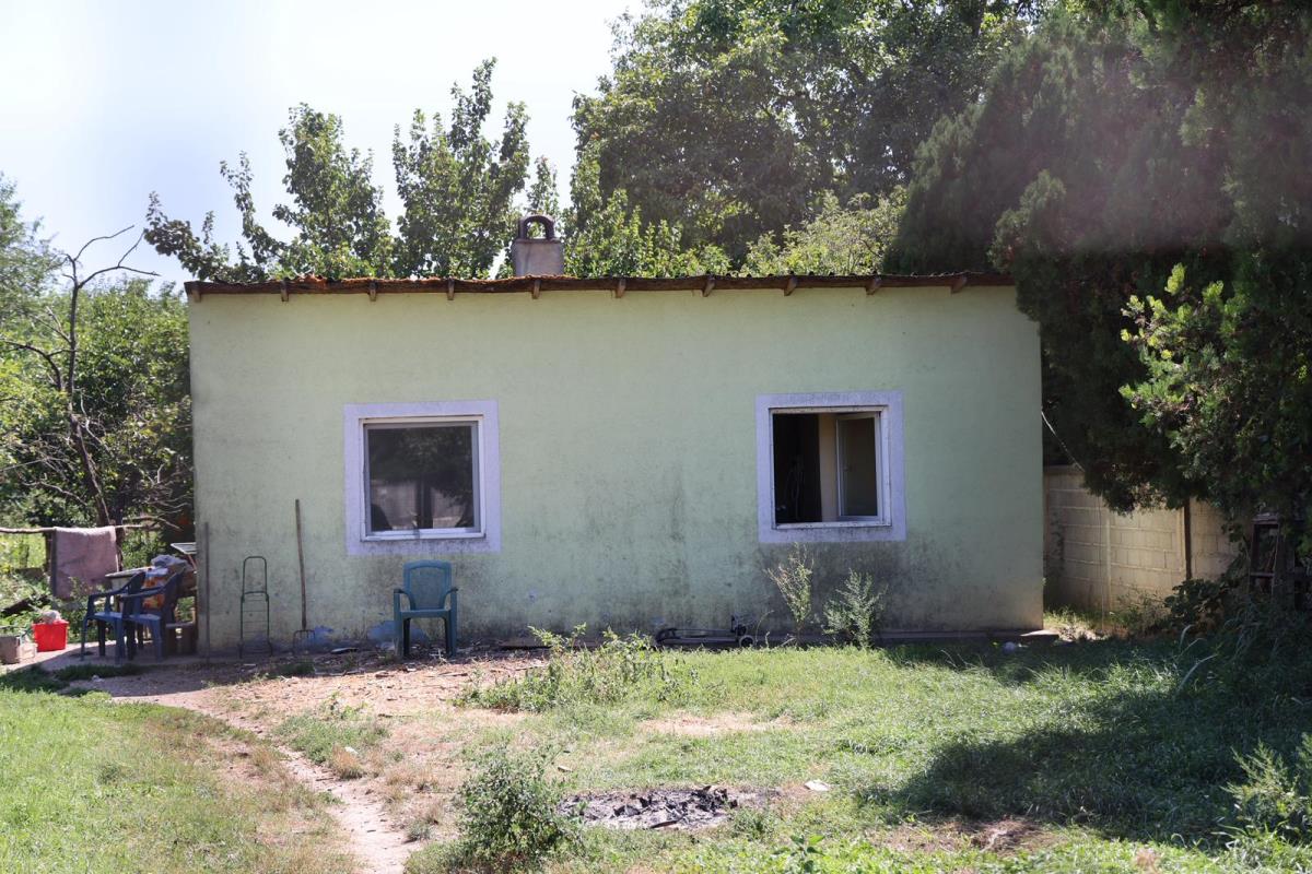 Snezana Pavlovic, nikad nije kasno