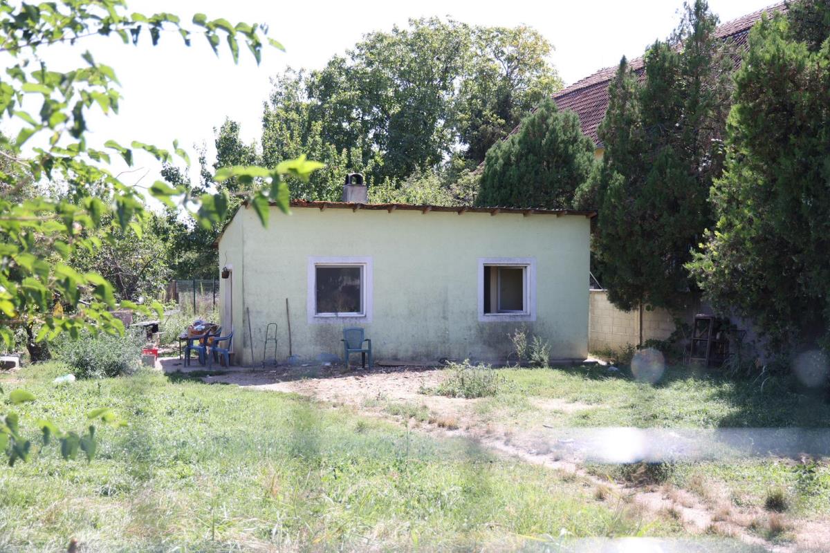 WhatsApp Image 2025-08-28 at 15.24.18.jpeg