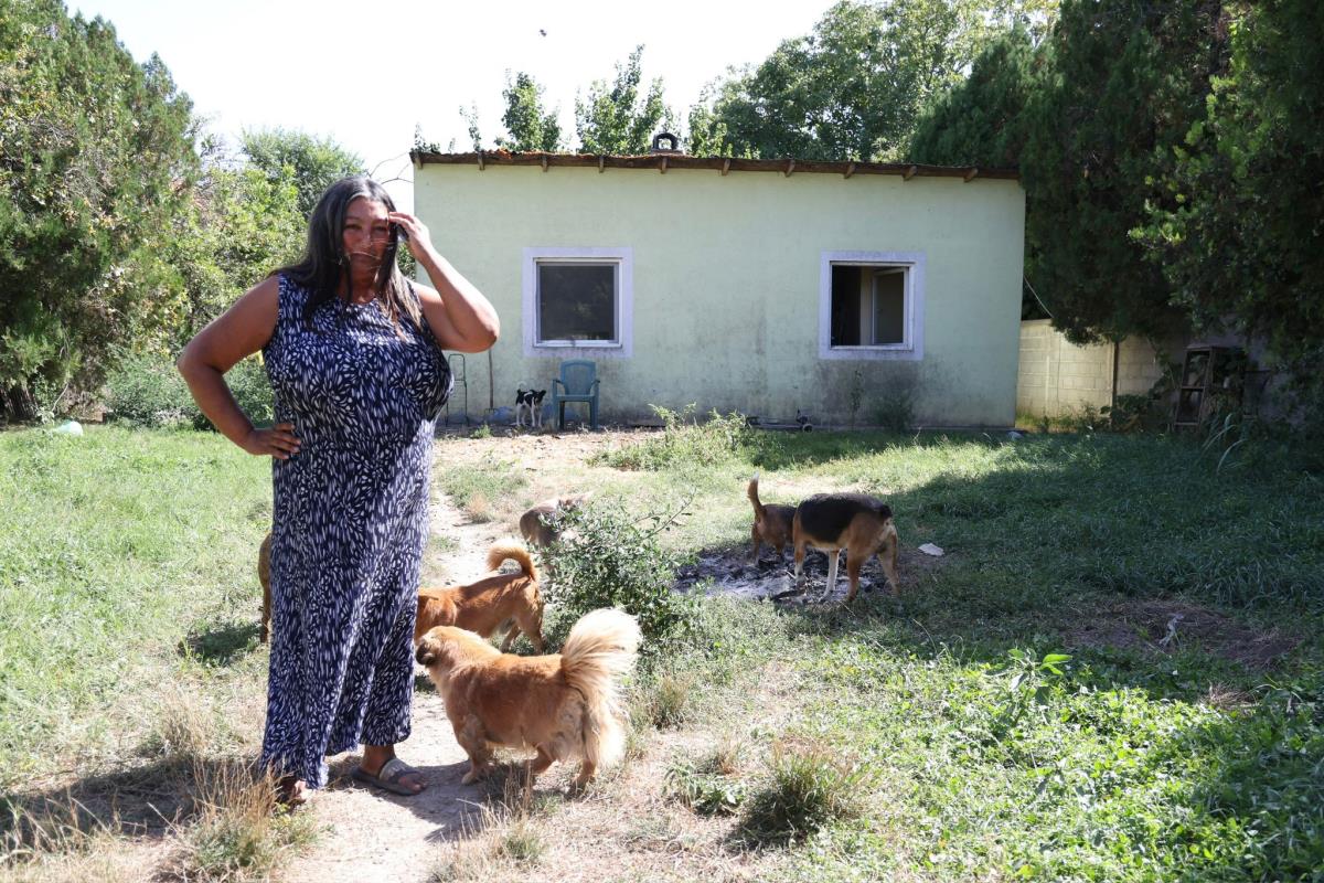 WhatsApp Image 2025-08-28 at 15.24.11 (2).jpeg