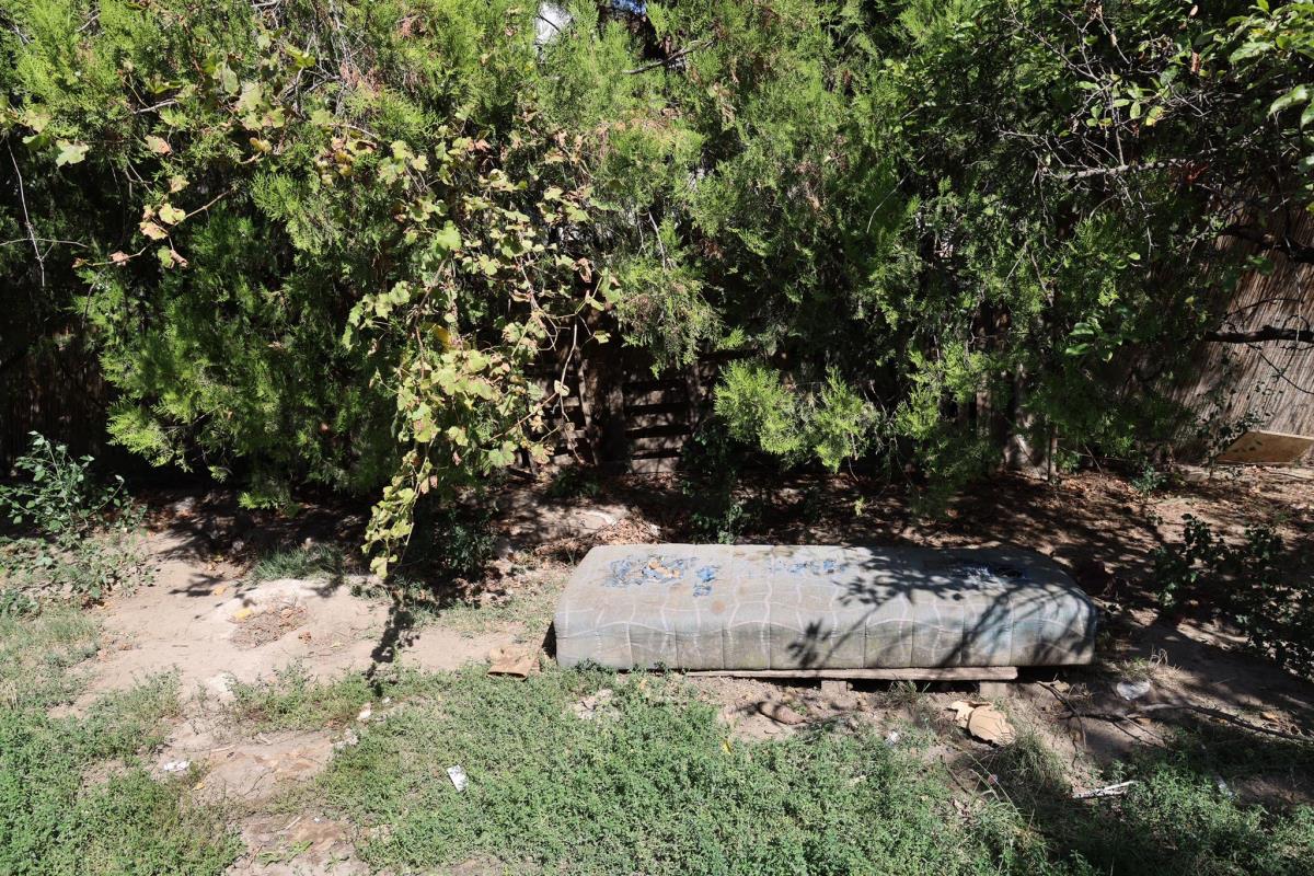 WhatsApp Image 2025-08-28 at 15.24.02.jpeg