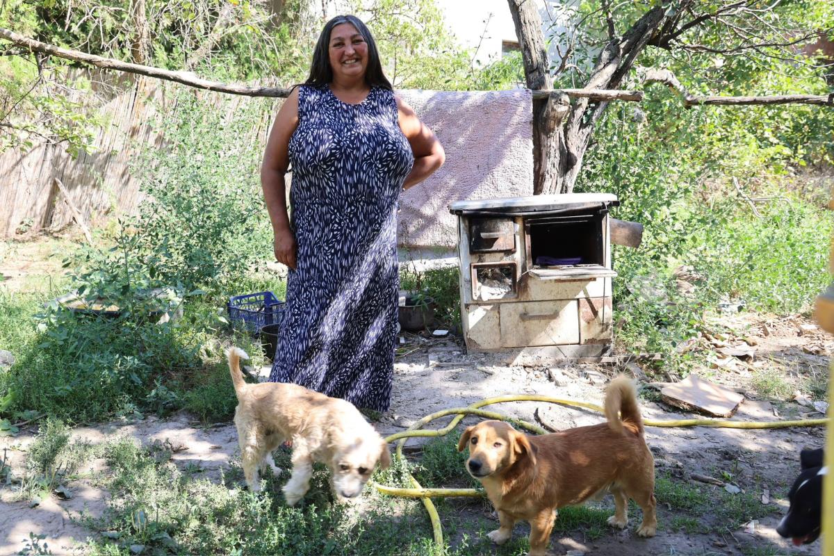 WhatsApp Image 2025-08-28 at 15.23.59.jpeg