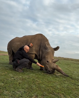 Screenshot 2025-08-29 083346.png