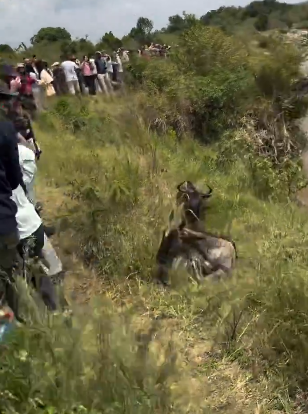 Screenshot 2025-08-29 083359.png