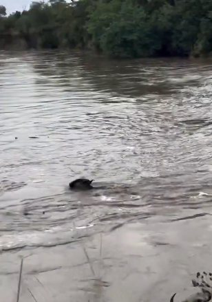 Screenshot 2025-08-29 083422.png